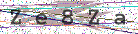 Enter Security Code