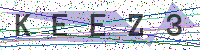 Enter Security Code