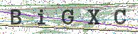 Enter Security Code