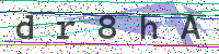 Enter Security Code