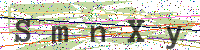Sicherheitscode eingeben