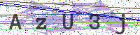 Enter Security Code