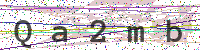Enter Security Code