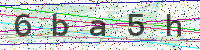 Enter Security Code