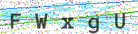 Enter Security Code