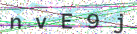 Enter Security Code