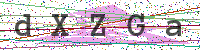 Sicherheitscode eingeben