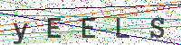 Enter Security Code
