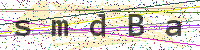 Enter Security Code