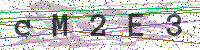 Enter Security Code