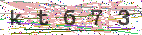 Enter Security Code