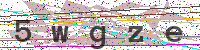 Enter Security Code