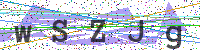 Enter Security Code
