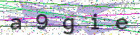 Enter Security Code