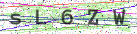 Enter Security Code