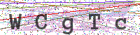 Sicherheitscode eingeben