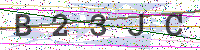 Enter Security Code