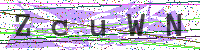 Enter Security Code