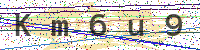 Enter Security Code