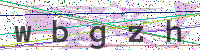 Enter Security Code
