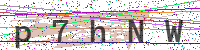 Enter Security Code