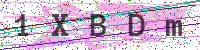 Sicherheitscode eingeben