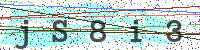 Enter Security Code