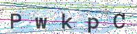 Sicherheitscode eingeben