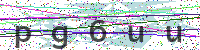 Enter Security Code