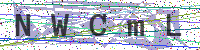 Enter Security Code