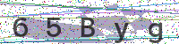 Enter Security Code