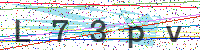 Enter Security Code