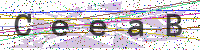 Enter Security Code