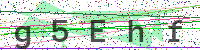 Enter Security Code