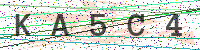 Enter Security Code