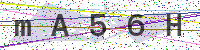 Enter Security Code