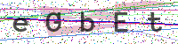 Enter Security Code