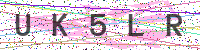 Enter Security Code
