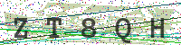 Enter Security Code