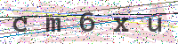 Enter Security Code
