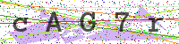 Sicherheitscode eingeben