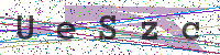 Enter Security Code
