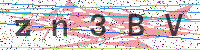 Enter Security Code