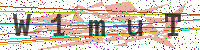 Sicherheitscode eingeben