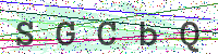Enter Security Code