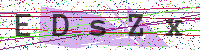 Enter Security Code
