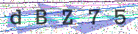 Enter Security Code