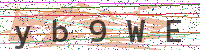 Sicherheitscode eingeben