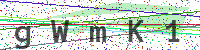 Sicherheitscode eingeben