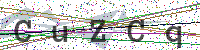 Enter Security Code